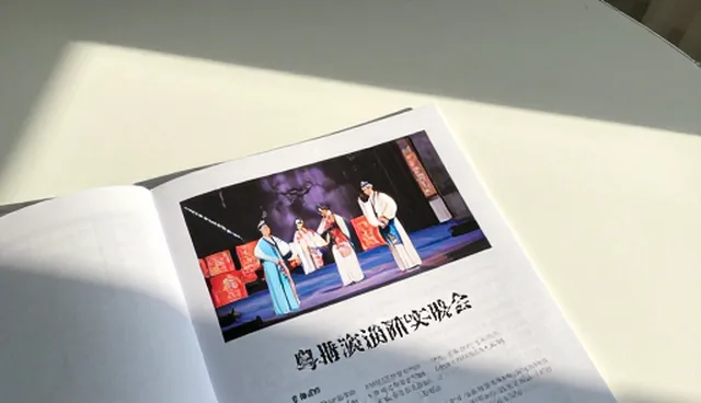 四川网站建设的检查要点与演出资讯更新策略