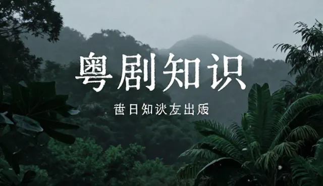 合肥网页设计公司如何影响在线观演体验